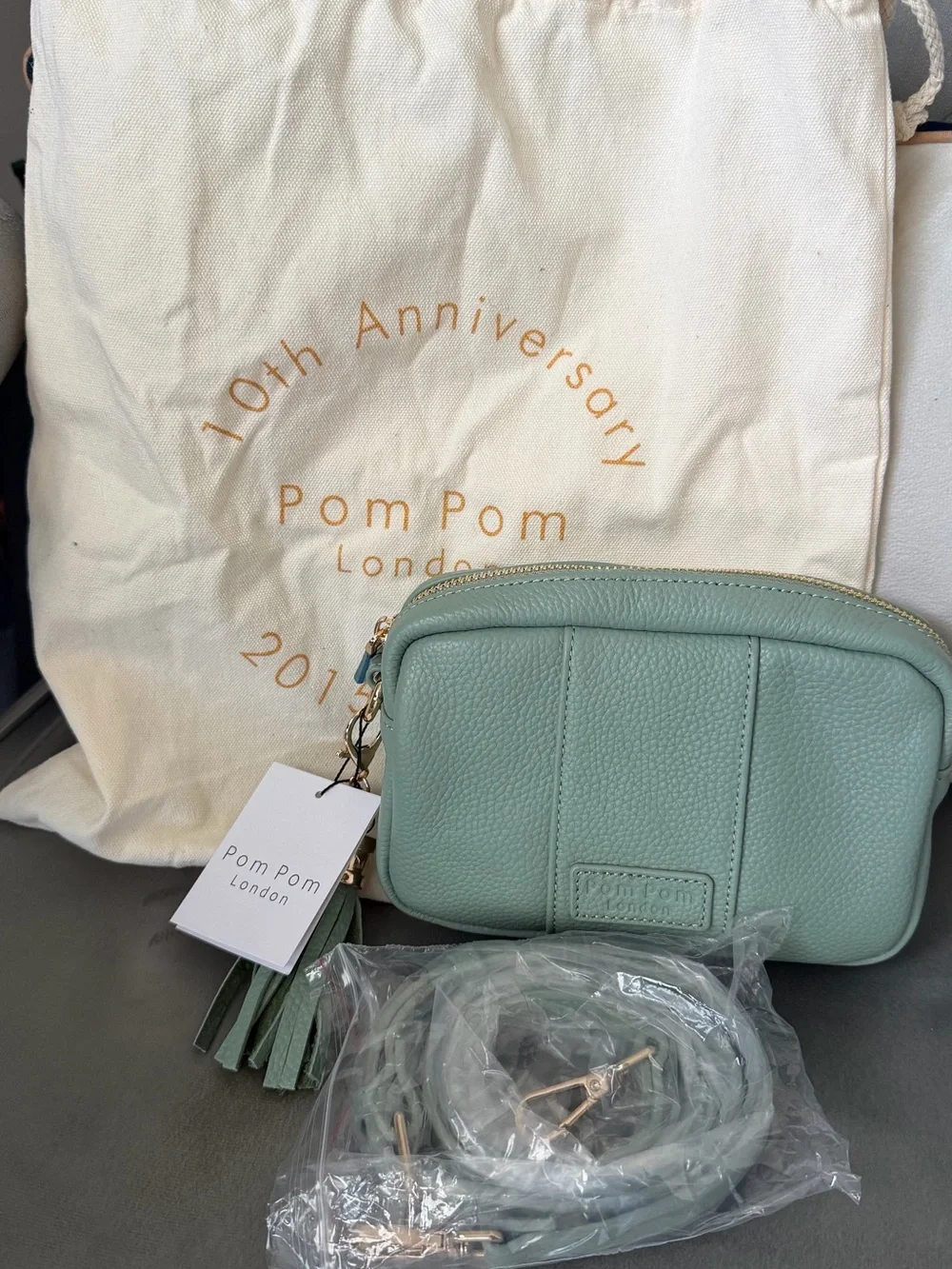 Pom Pom London Mint Green The City Mini Crossbody Bag - Picture 1 of 7